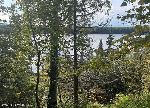 Property at 21235 E Quarah Lake Ave, Talkeetna, AK 99676