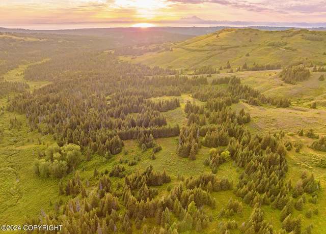 Property at 000 Fletcher Rd, Homer, AK 99603