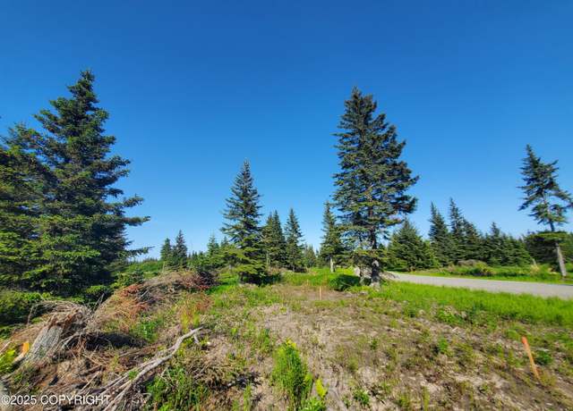 Property at 17573 Chefornak St, Ninilchik, AK 99556