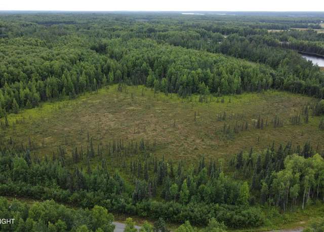 Property at L2 B3 E Mount Snowshoe Dr, Talkeetna, AK 99676