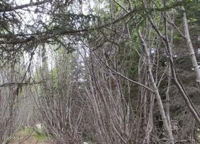 Property at 58088 Faccio Rd, Clam Gulch, AK 99568