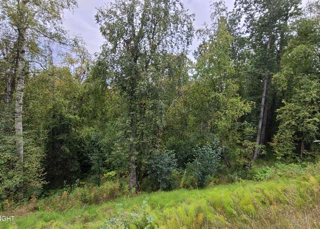 Property at 4248 W Little Rain Rd, Wasilla, AK 99623