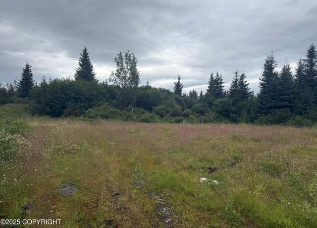 Property at 31511 Kalugin Pl, Nikolaevsk, AK 99556