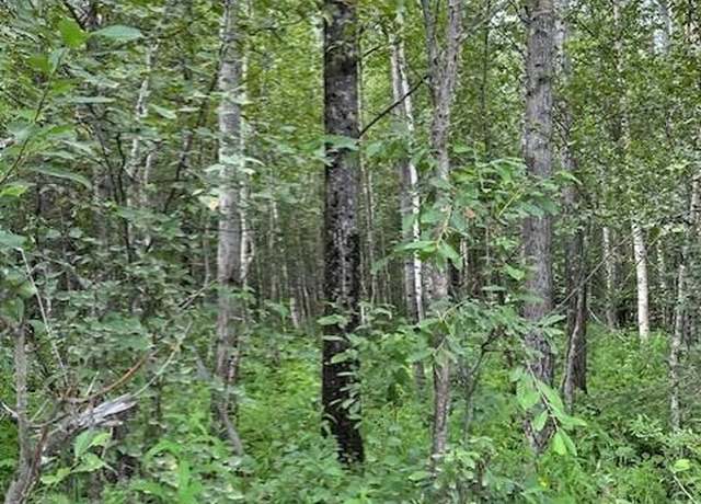 Property at 3674 N Grey Wolf Dr, Wasilla, AK 99654
