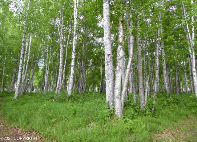 Property at D006 No Road Trl, Talkeetna, AK 99676