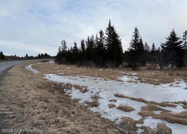 Property at 26220 Sterling Hwy, Anchor Point, AK 99556