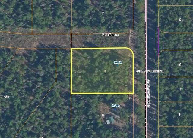 Property at 46650 S Fishermans Hop Rd, Willow, AK 99694