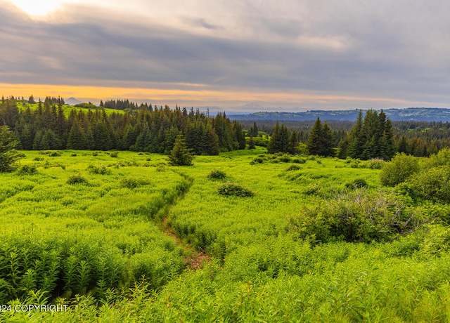 Property at 0002 West Highlands Blvd, Homer, AK 99603