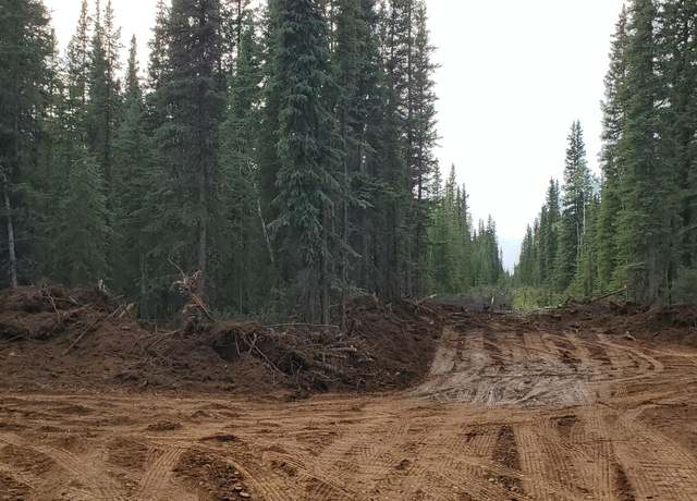 Property at L4B4 Anna Marie Ave, Tok, AK 99780