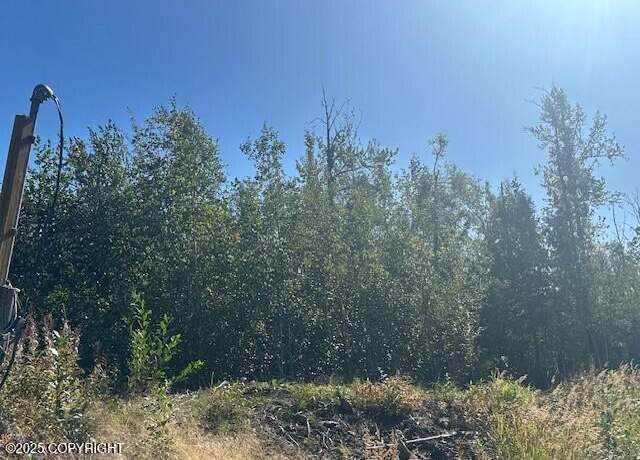 Property at 2871 N Lovers Ln, Wasilla, AK 99654