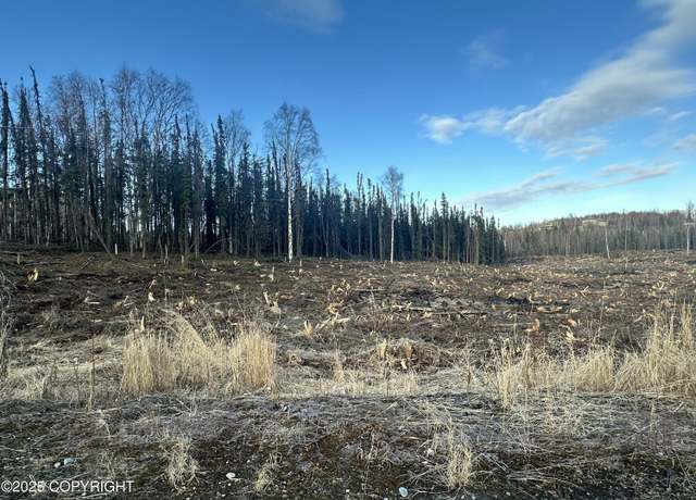 Property at 5203 Kelsi Lp, Wasilla, AK 99623