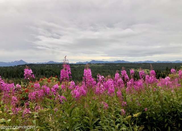 Property at 62409 Crossman Ridge Rd, Homer, AK 99603