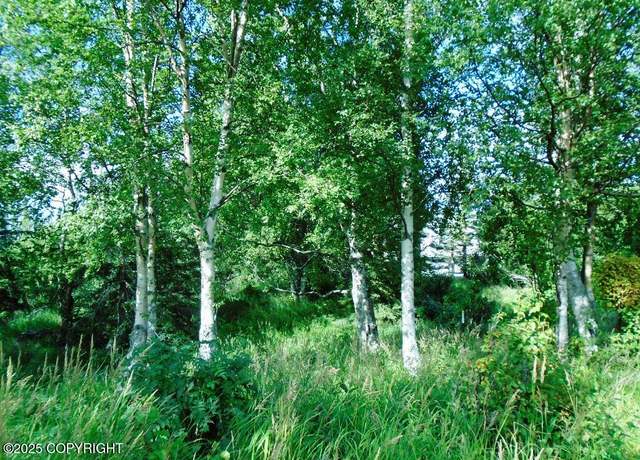 Property at Lot 2 Greece Dr, Anchorage, AK 99516