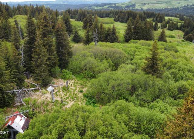 Property at 40170 Talley St, Homer, AK 99603
