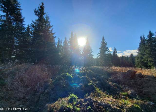 Property at 67663 Shavila Rd, Ninilchik, AK 99639