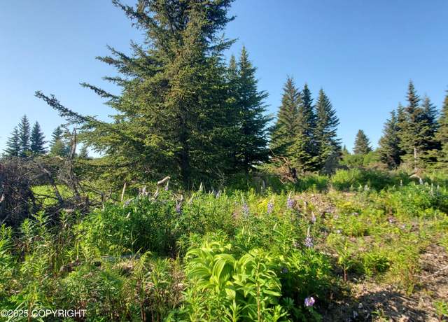 Property at 17589 Chefornak St, Ninilchik, AK 99639