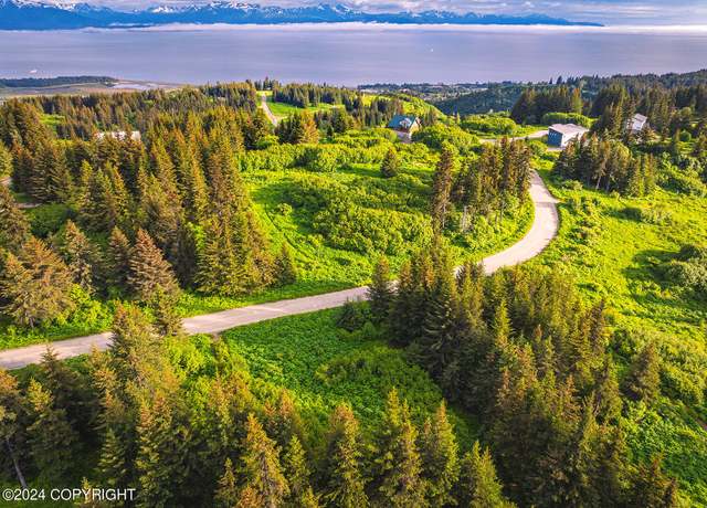 Property at 228 Tulin Terrace Blvd, Homer, AK 99603