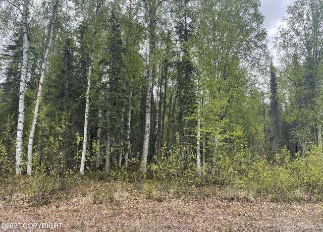 Property at 14968 Gyrfalcon Dr, Willow, AK 99688