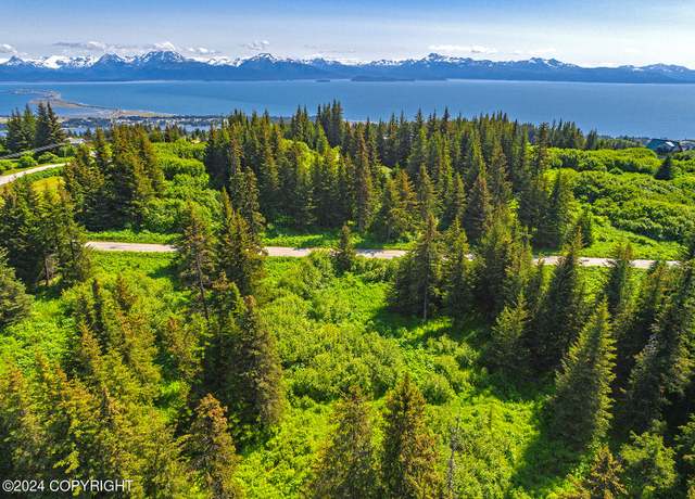 Property at 210 Tulin Terrace Blvd, Homer, AK 99603