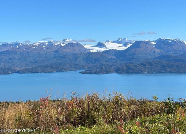 Property at 51080 Trail Mountain Ct, Homer, AK 99603