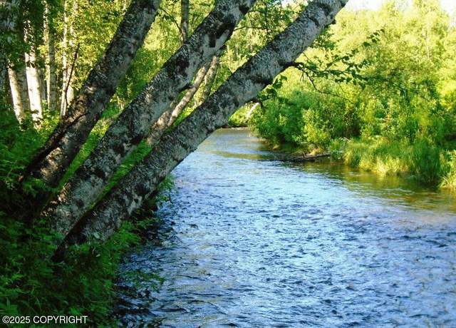 Property at Tr A Mile 93 Parks Hwy, Talkeetna, AK 99676