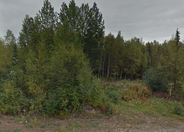 Property at L1 B1 N Irish Setter Cir, Wasilla, AK 99623