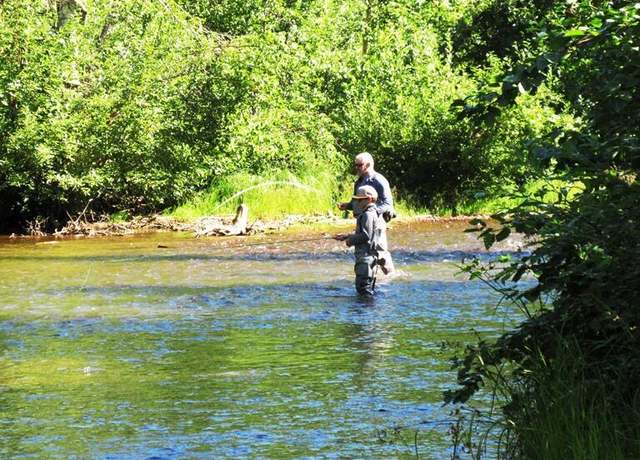 Property at Tr D Mile 93 Parks Hwy, Talkeetna, AK 99676