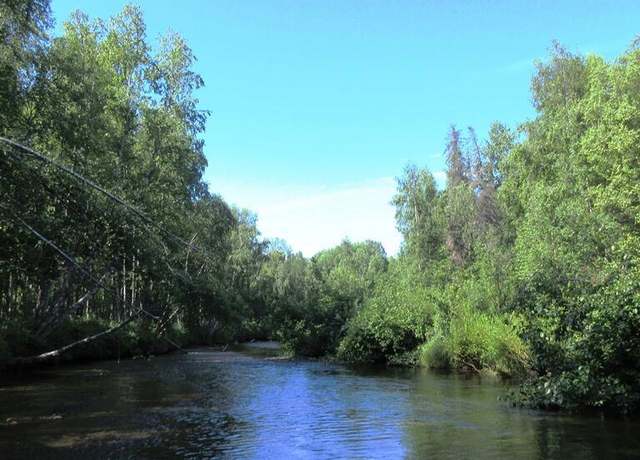 Property at Tr D Mile 93 Parks Hwy, Talkeetna, AK 99676
