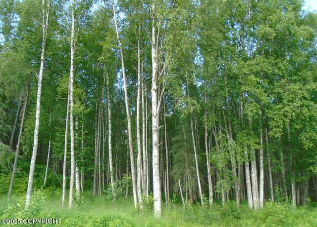 Property at Tr E Mile 93 Parks Hwy, Talkeetna, AK 99676