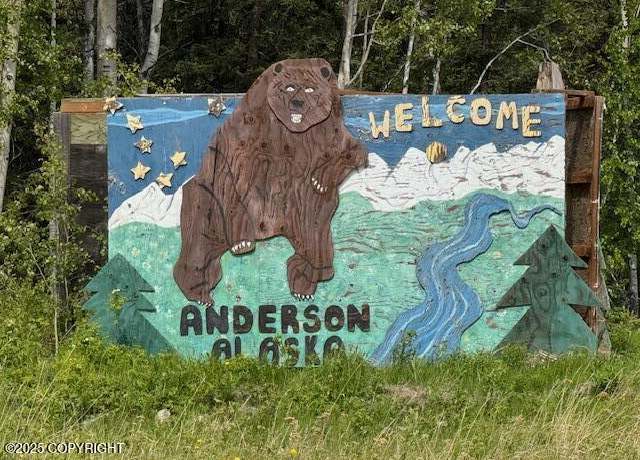 Property at Mi 285 Parks Hwy, Anderson, AK 99744