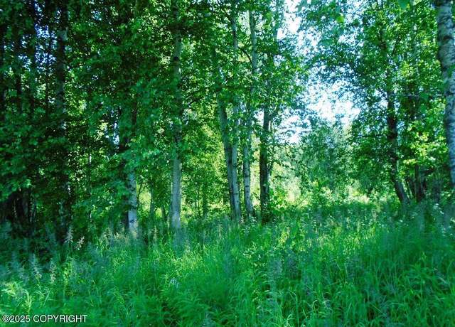 Property at Tr F Mile 93 Parks Hwy, Talkeetna, AK 99676