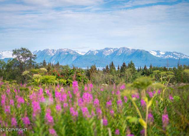 Property at L8 B3 Glenn Rd, Homer, AK 99603