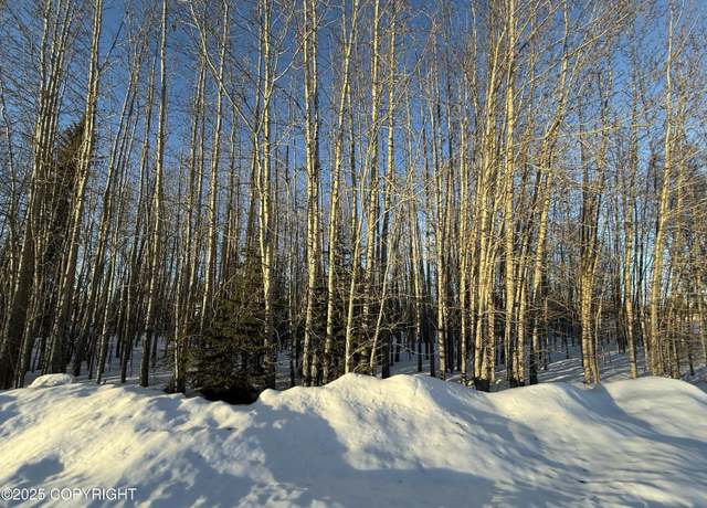 Property at L2 B25 NPHS Blvd, North Pole, AK 99705