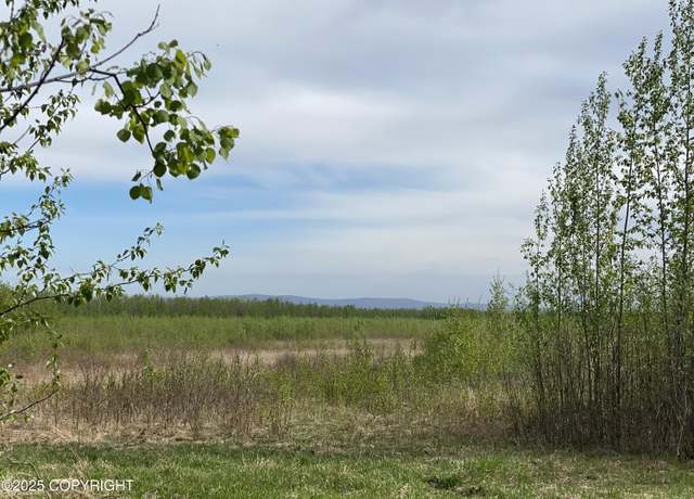 Property at Tr S1 Barley Way, Delta Junction, AK 99737