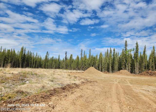 Property at Lot 5 Boreal Frst, Tok, AK 99780