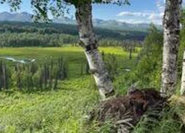 Property at 9320 S Cache Crk Dr, Trapper Creek, AK 99683