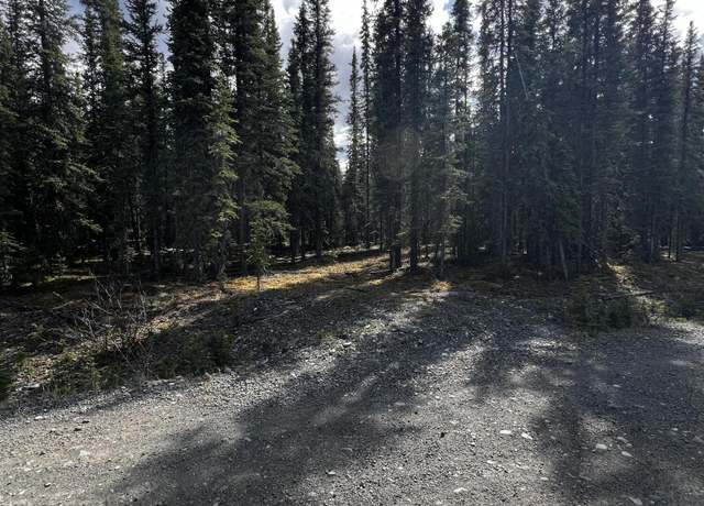 Property at 1H Alaska Hwy, Tok, AK 99780
