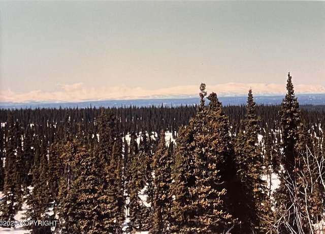 Property at S11 Tr G, Chitina, AK 99588