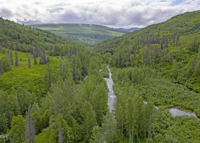 Property at 000 Mcwilliams - Gold Creek Trl, Talkeetna, AK 99676