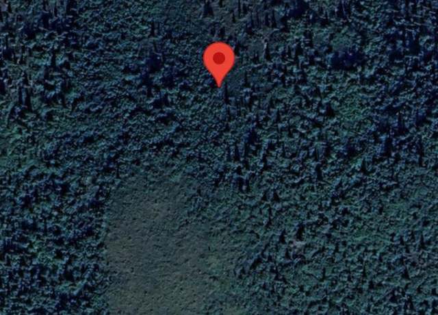 Property at 0000 Unnamed St, Tok, AK 99780
