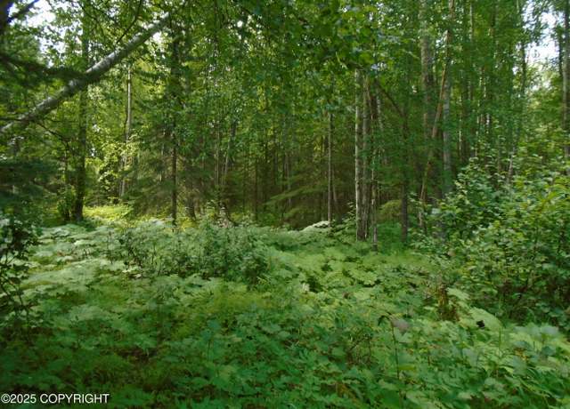 Property at 15032 W Necrason Dr, Big Lake, AK 99652
