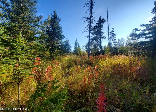 Property at 64195 Bolotna Rd, Nikolaevsk, AK 99556