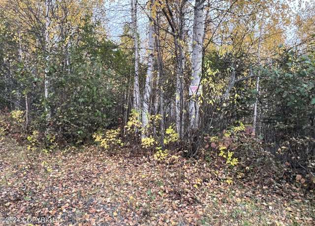 Property at 4842 S Horseshoe Lake Rd, Big Lake, AK 99652