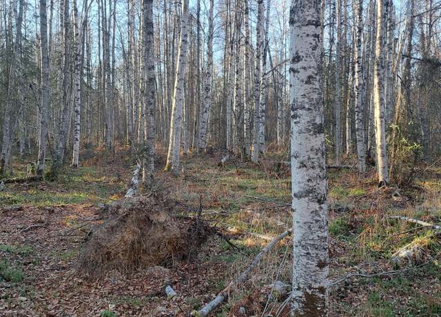 Property at 19940 E Tackle Ave, Willow, AK 99688