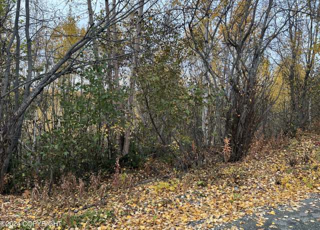 Property at 4916 S S Horseshoe Lake Rd, Big Lake, AK 99652