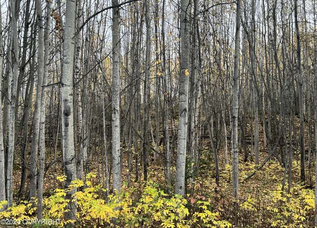 Property at 5082 S Horseshoe Lake Rd, Big Lake, AK 99652