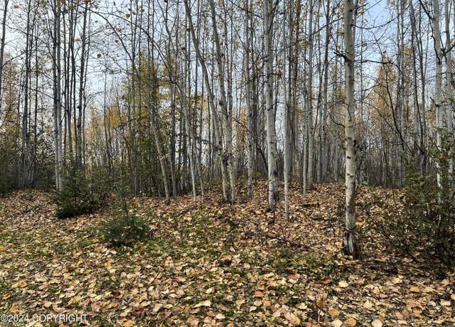 Property at Tr A S Horseshoe Lake Rd, Big Lake, AK 99652