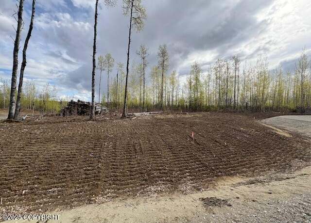 Property at L5 B2 W Peak Cir, Big Lake, AK 99652