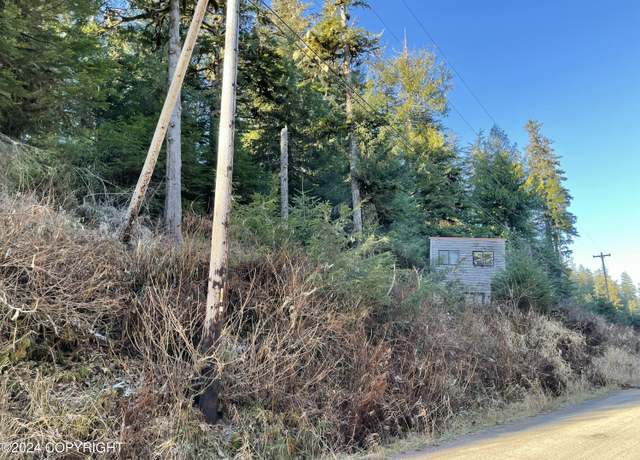 Property at L9 B5 Beach Rd, Whale Pass, AK 99921