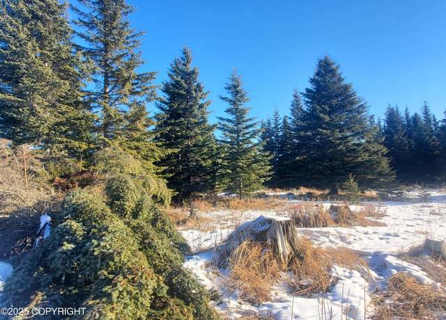 Property at 17466 Chefornak St, Ninilchik, AK 99639